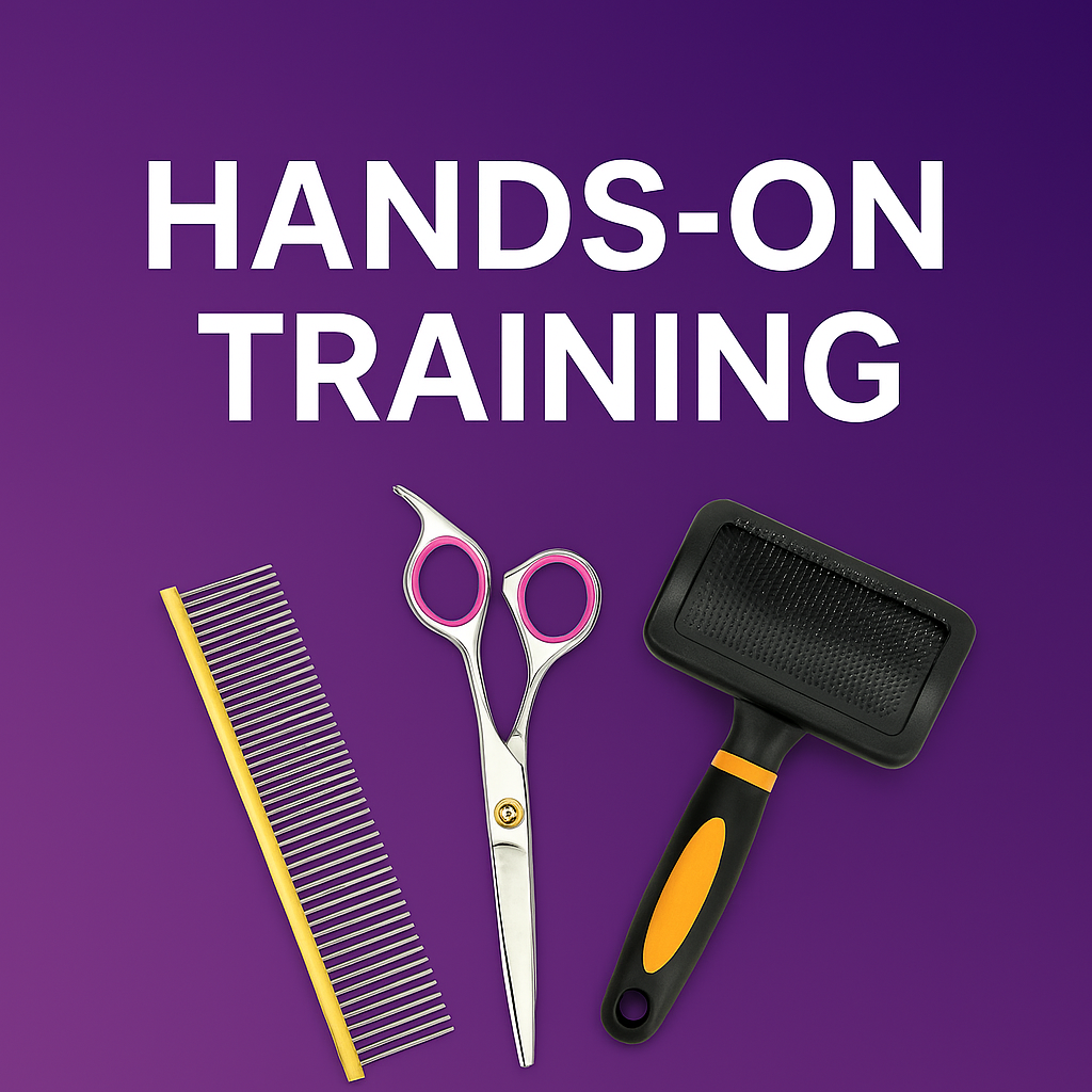In-Person Dog Groomer Training