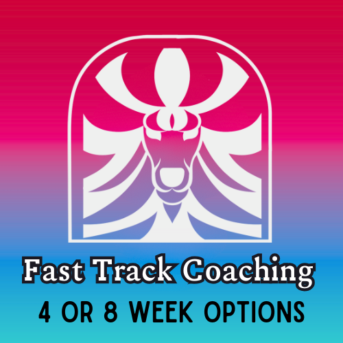 Fast Track Coaching – Coaching Packages