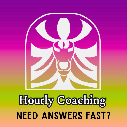 Hourly Coaching Session